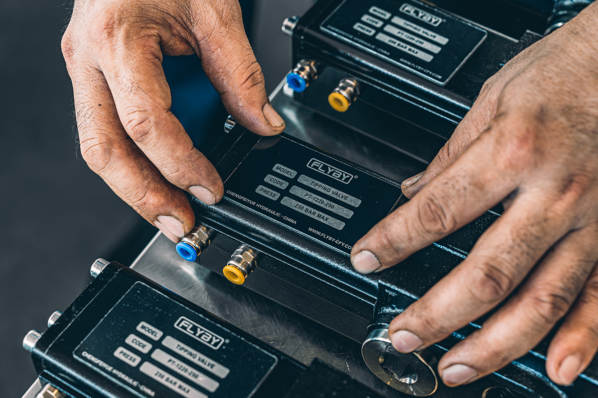 Diverse Customization